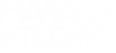 MARAinTech, inovação que move o Maranhão